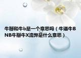 牛掰和牛b是一個(gè)意思嗎（牛逼牛BNB牛掰牛X流弊是什么意思）