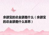 余額寶的總金額是什么（余額寶的總金額是什么意思）