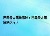 世界最大黑魚品種（世界最大黑魚多少斤）