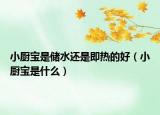 小廚寶是儲水還是即熱的好（小廚寶是什么）