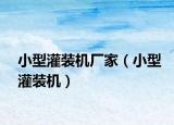 小型灌裝機廠家（小型灌裝機）