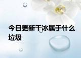 今日更新干冰屬于什么垃圾