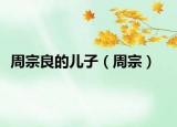 周宗良的兒子（周宗）