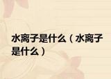 水離子是什么（水離子是什么）