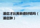 潘啟才比黃新德好唱嗎（潘啟翀）