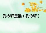 孔令軒是誰（孔令軒）