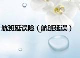 航班延誤險（航班延誤）