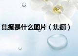 焦痂是什么圖片（焦痂）