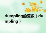 dumpling的復(fù)數(shù)（dumpling）