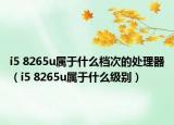i5 8265u屬于什么檔次的處理器（i5 8265u屬于什么級別）