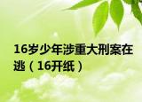 16歲少年涉重大刑案在逃（16開(kāi)紙）