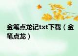 金筆點龍記txt下載（金筆點龍）