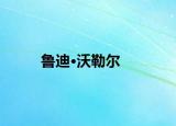 魯?shù)稀の掷諣? /></span></a>
                        <h2><a href=
