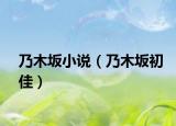 乃木坂小說(shuō)（乃木坂初佳）