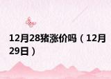 12月28豬漲價(jià)嗎（12月29日）