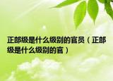 正部級是什么級別的官員（正部級是什么級別的官）