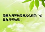 偷星九月天結(jié)局是怎么樣的（偷星九月天結(jié)局）