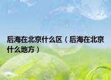 后海在北京什么區(qū)（后海在北京什么地方）