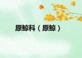 原鯨科（原鯨）
