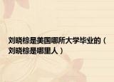 劉曉棕是美國(guó)哪所大學(xué)畢業(yè)的（劉曉棕是哪里人）