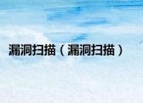漏洞掃描（漏洞掃描）