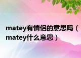 matey有情侶的意思嗎（matey什么意思）