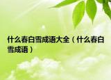 什么春白雪成語大全（什么春白雪成語）