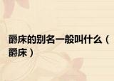 爵床的別名一般叫什么（爵床）