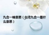 九合一啥意思（臺灣九合一是什么意思）
