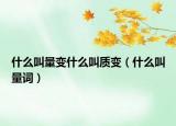 什么叫量變什么叫質(zhì)變（什么叫量詞）