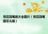 雪花簡(jiǎn)筆畫大全圖片（雪花簡(jiǎn)筆畫怎么畫）