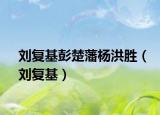 劉復(fù)基彭楚藩楊洪勝（劉復(fù)基）