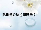 帆蜥魚介紹（帆蜥魚）