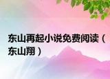 東山再起小說免費閱讀（東山翔）