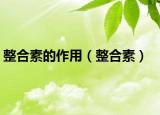 整合素的作用（整合素）