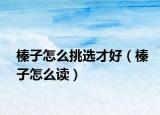 榛子怎么挑選才好（榛子怎么讀）