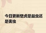 今日更新壁虎是益蟲(chóng)還是害蟲(chóng)