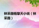 林采薇楊擎天小說（林采薇）