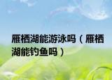 雁棲湖能游泳嗎（雁棲湖能釣魚嗎）