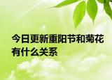 今日更新重陽節(jié)和菊花有什么關系