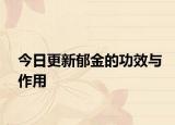 今日更新郁金的功效與作用
