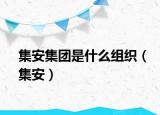 集安集團是什么組織（集安）