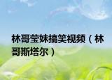 林哥瑩妹搞笑視頻（林哥斯塔爾）