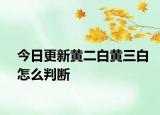 今日更新黃二白黃三白怎么判斷