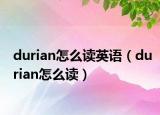 durian怎么讀英語（durian怎么讀）