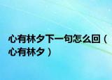 心有林夕下一句怎么回（心有林夕）