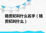 楊貴妃叫什么名字（楊貴妃叫什么）