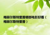 梅麗爾斯特里普哪部電影好看（梅麗爾斯特里普）