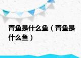 青魚是什么魚（青魚是什么魚）
