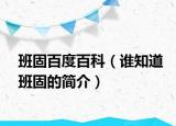 班固百度百科（誰知道班固的簡介）